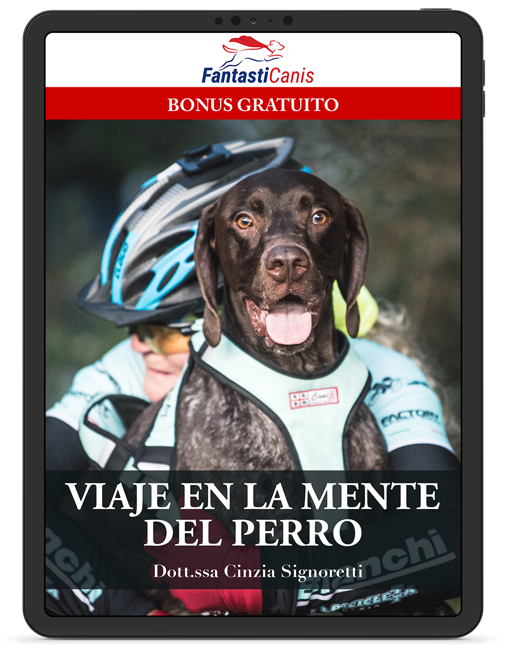 Viaggio nella mente