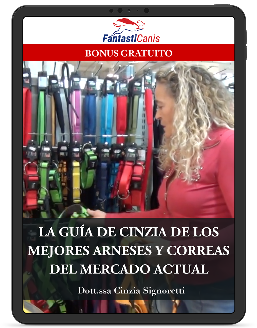 guida pettorine e guinzagli